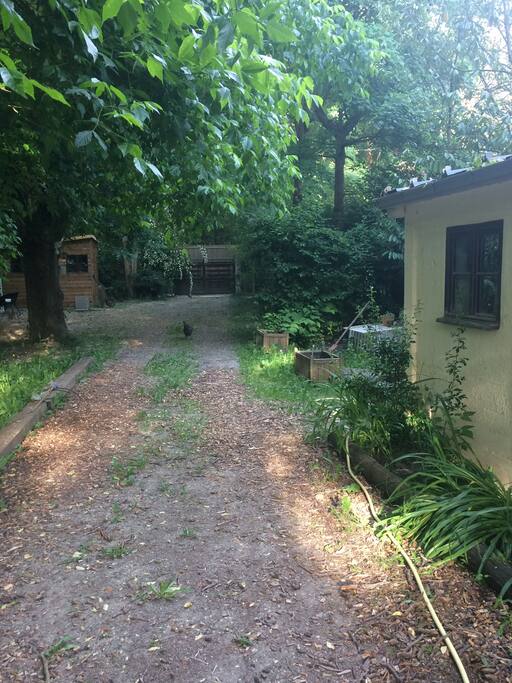 Jardin