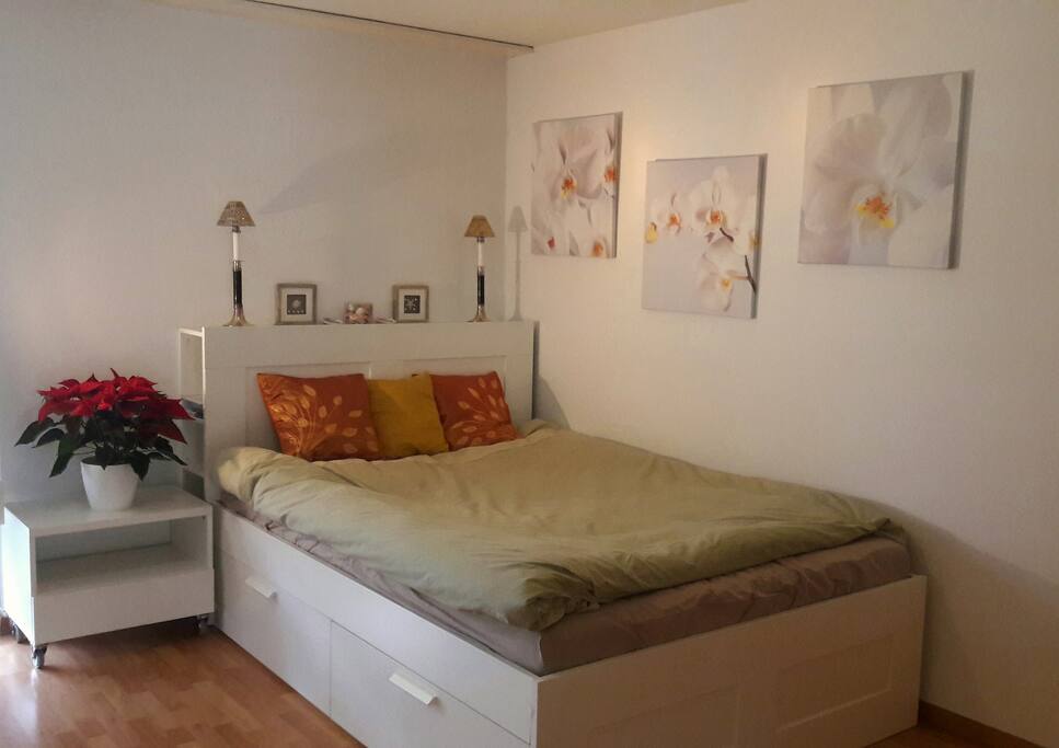 Your room for a nice and comfy stay in Bern (Kanton). The room is app. 15m2, has a window that could be opened and a view to the meadow and other buildings in the street. A lot of space for a guest bed. The double bed is 140 x 200 cm.