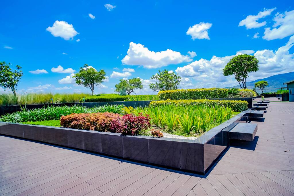 garden on rooftop