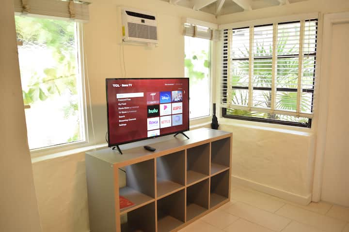 WiFi וטלוויזיית Roku עם הערוצים העדכניים ביותר