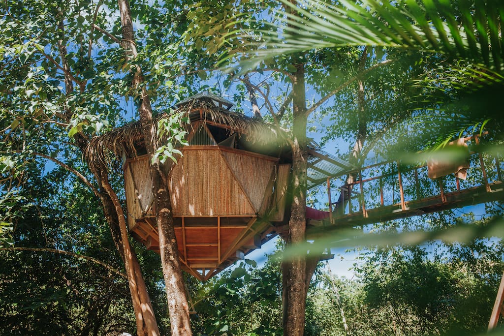 Icosahedron bedroom, with suspended bed and half bathroom.