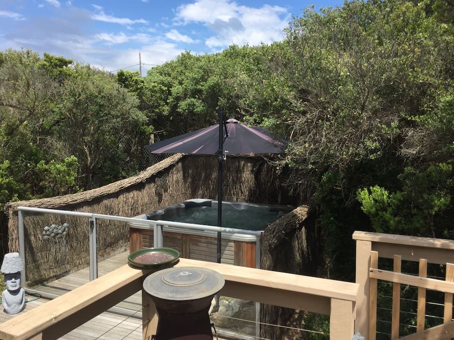 8 person spa on back deck