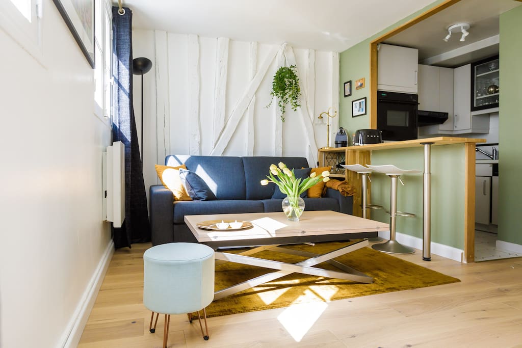 -Cuisine ouverte, toute équipée (Four, four micro-ondes, lave vaisselle, plaque induction, hotte)
-Salon avec Canapé convertible,table basse, télévision, Wifi, barre de son
