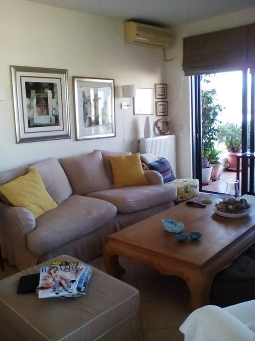 the sofa in the living room