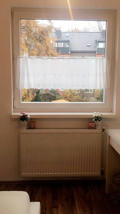Grosser Tageslichtfenster im Schlafzimmer