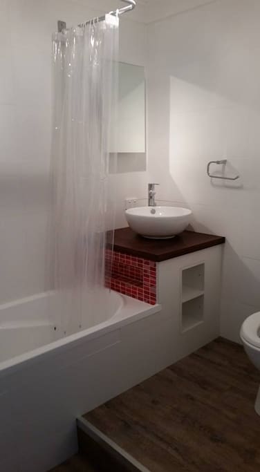 combined bath/ shower