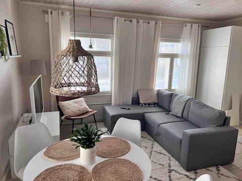 Top Airbnb: Studio + loft, open plan, patio and parking space with plug in I