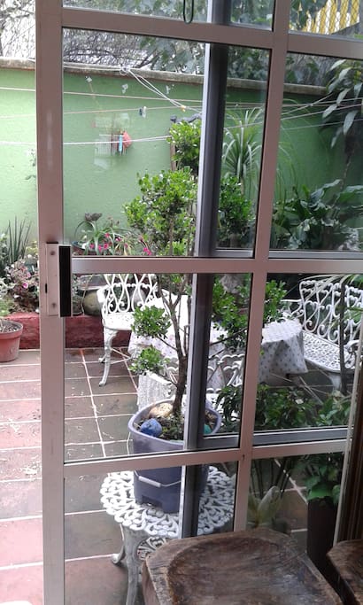 Patio trasero