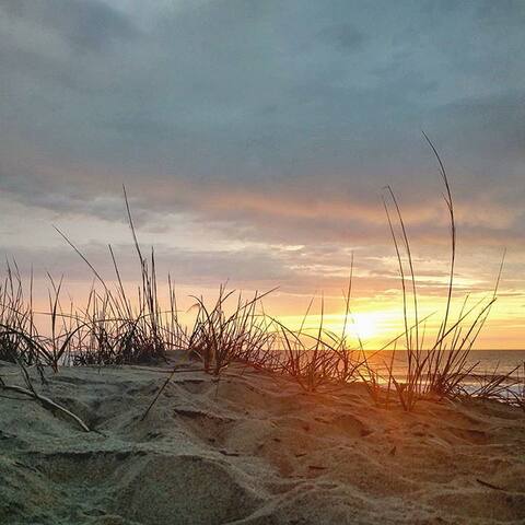 NOTHING BEATS OCEANFRONT!!! 🌊