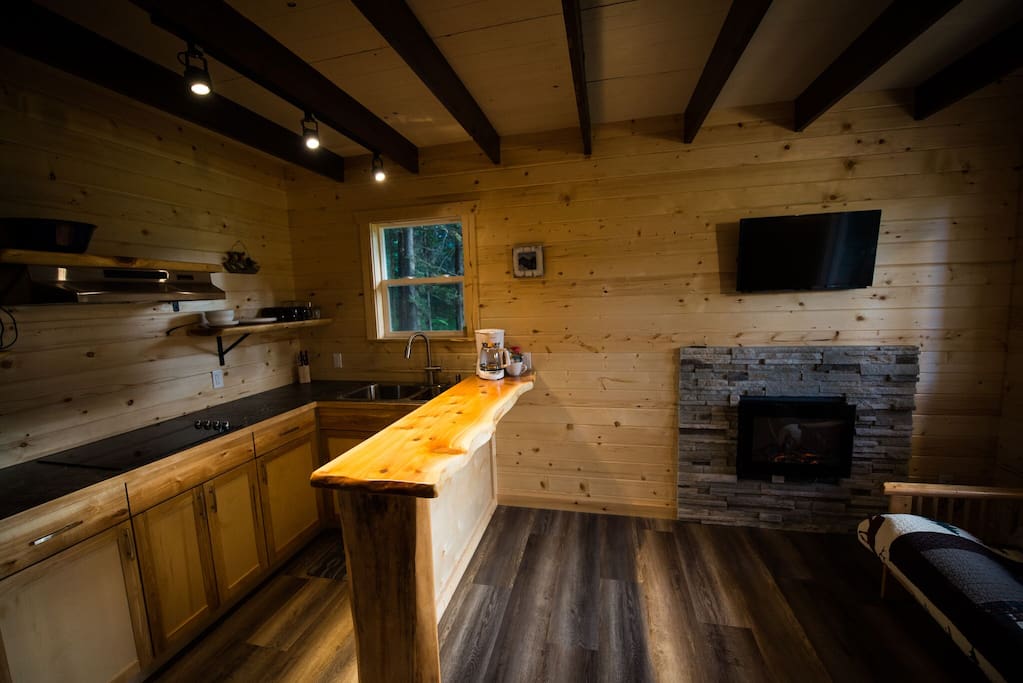 Kitchenette, fireplace view