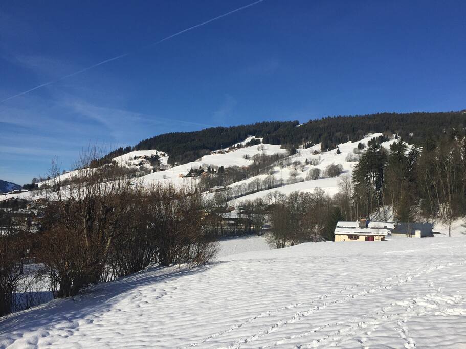 Vue depuis le balcon côté Ouest (les fenêtres de la cuisine et de la chambre donnent de ce coté). Sur le côté du chalet il y a un grand champ vierge. Idéal pour faire de la luge ou des bonhommes de neige, tout en étant surveillé depuis l’appartement.