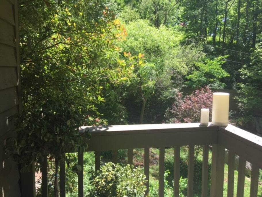 View from first studio deck