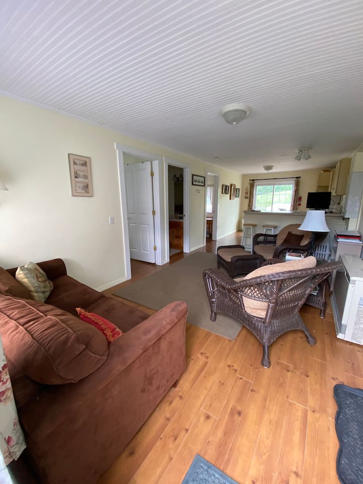 The living room has a queen pull out couch for sleeping. 
