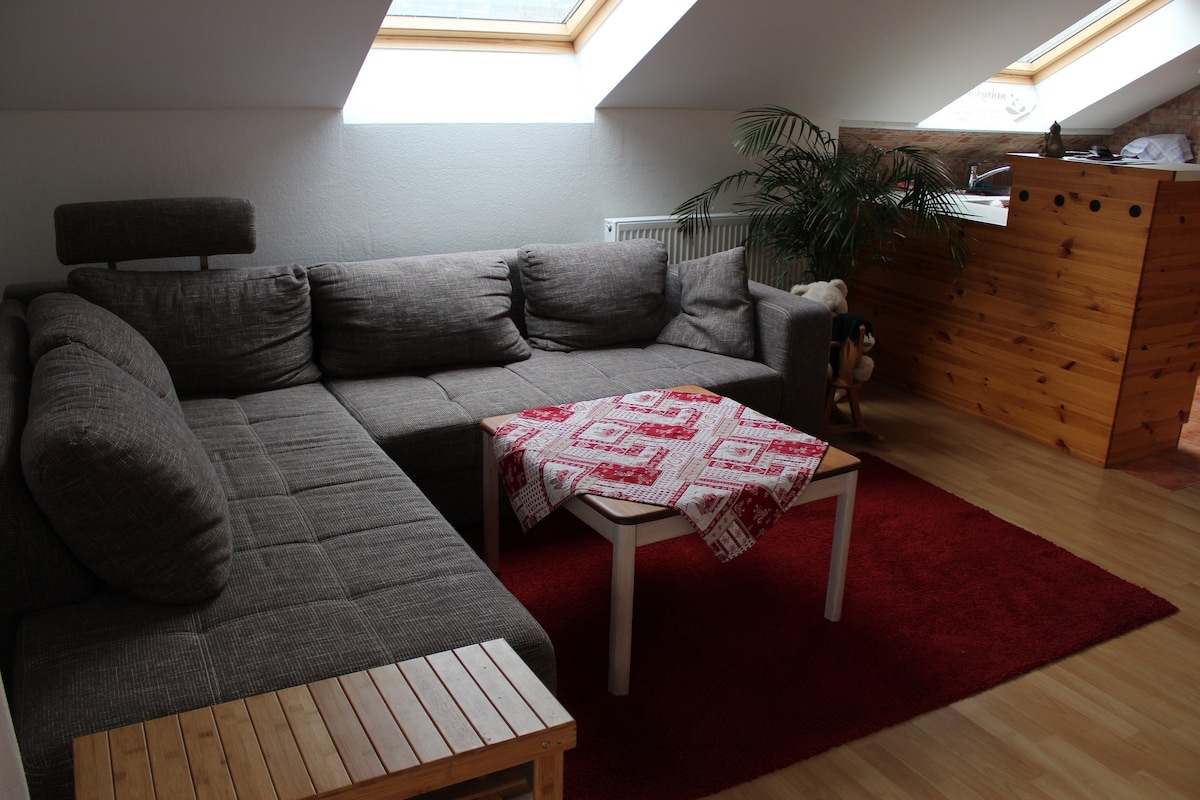 غرفة المعيشة في المطبخ ، هذا هو سرير الأريكة الكبير. يمكن كشفها 135 × 210 سم. 
أو مجرد  الجلوس هناك بشكل مريح.