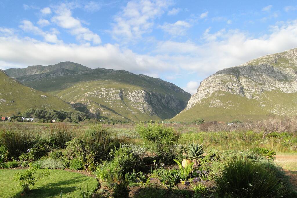 View from the bedroom: the Kogelberg Mountains framing the Harold Porter Botanical Garden