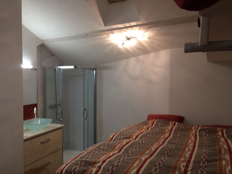 la chambre équipée d'une douche