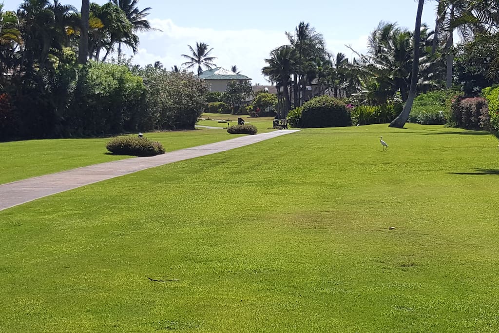 Five minutes walk via greenbelt to Grand Hyatt hotel and Shipwrecks Beach