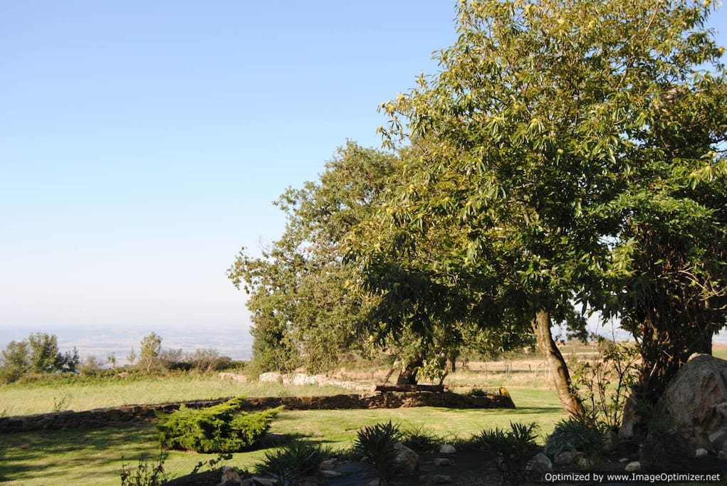 The garden/Le Jardin