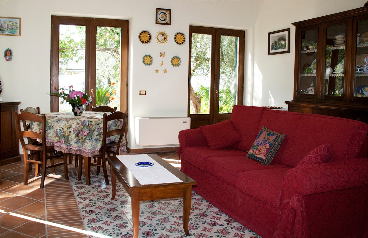 Successful Airbnb property: Camporosso Estate in Massa Lubrense