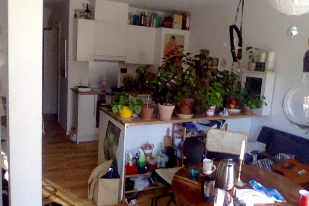 Common area