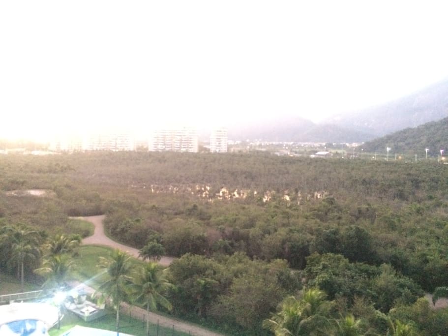 Jungle (protected area) and Olympic Park