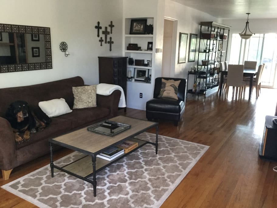 Pet friendly living and dining room. The couch is a sofa bed.