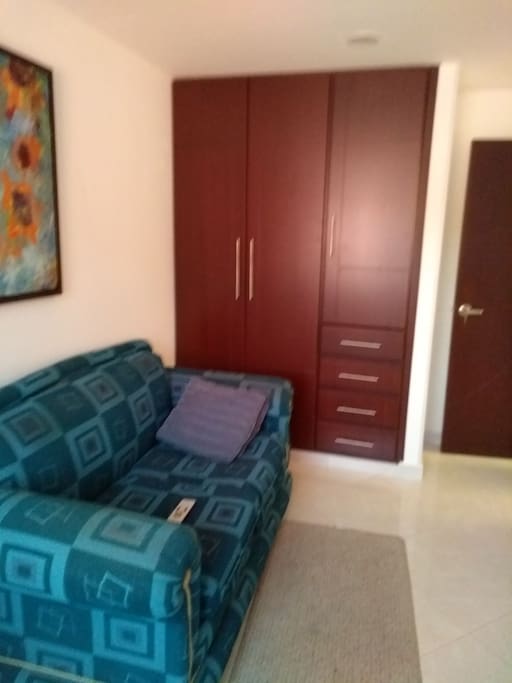 una habitación con sofá cama doble con su respectivo closet