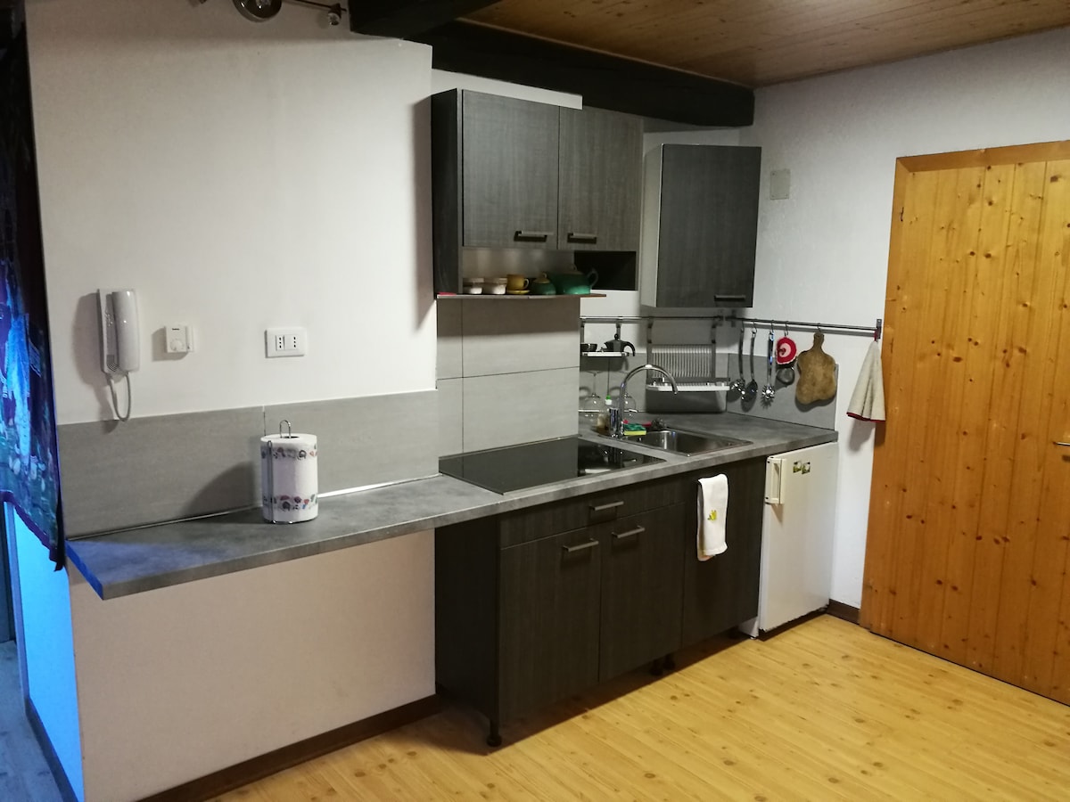 The kitchen features dark wood cabinetry paired with a grey countertop. A sink and an induction cooktop are visible, alongside essential appliances including a refrigerator. Utensils and cookware are neatly arranged, and a wooden cutting board hangs on the wall. Natural light enters from a nearby window.
