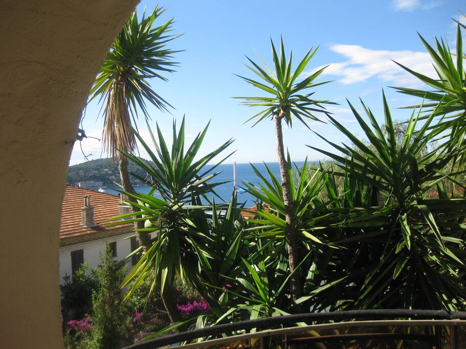 RADE DE VILLEFANCHE-SUR-MER