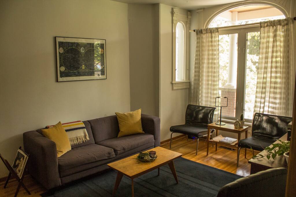 A living space designed for comfort, curated with contemporary custom furnishings.