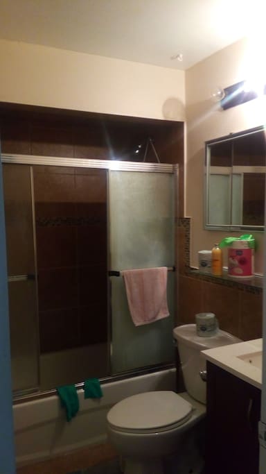 Guest Bathroom
