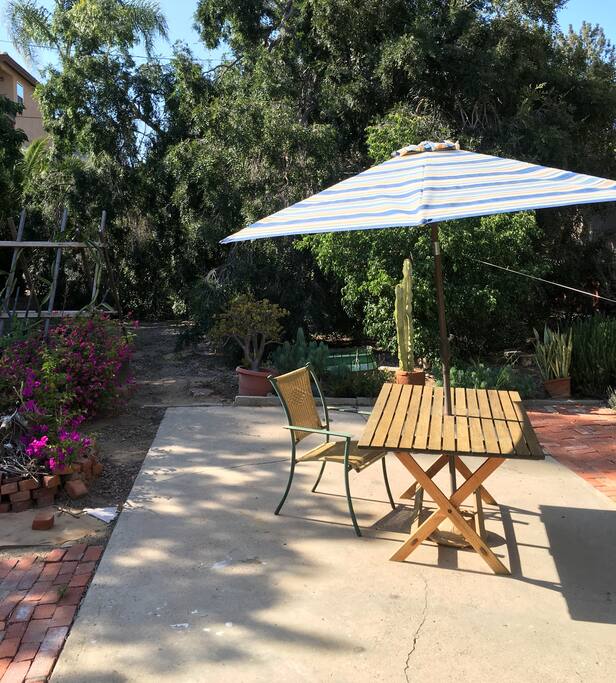 Back yard for relaxing