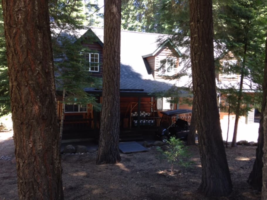 Peaceful front yard with covered porch and swing