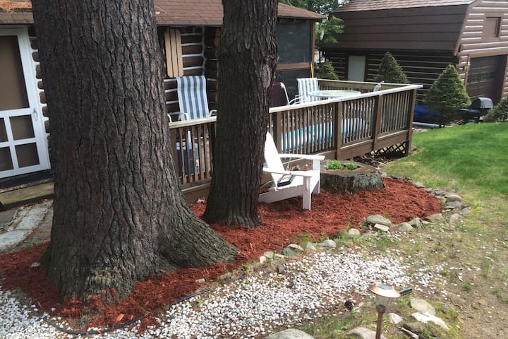Adirondack Cabin Get-a-way