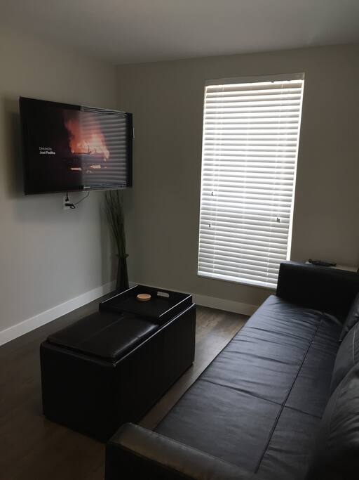 Flat screen w/Netflix