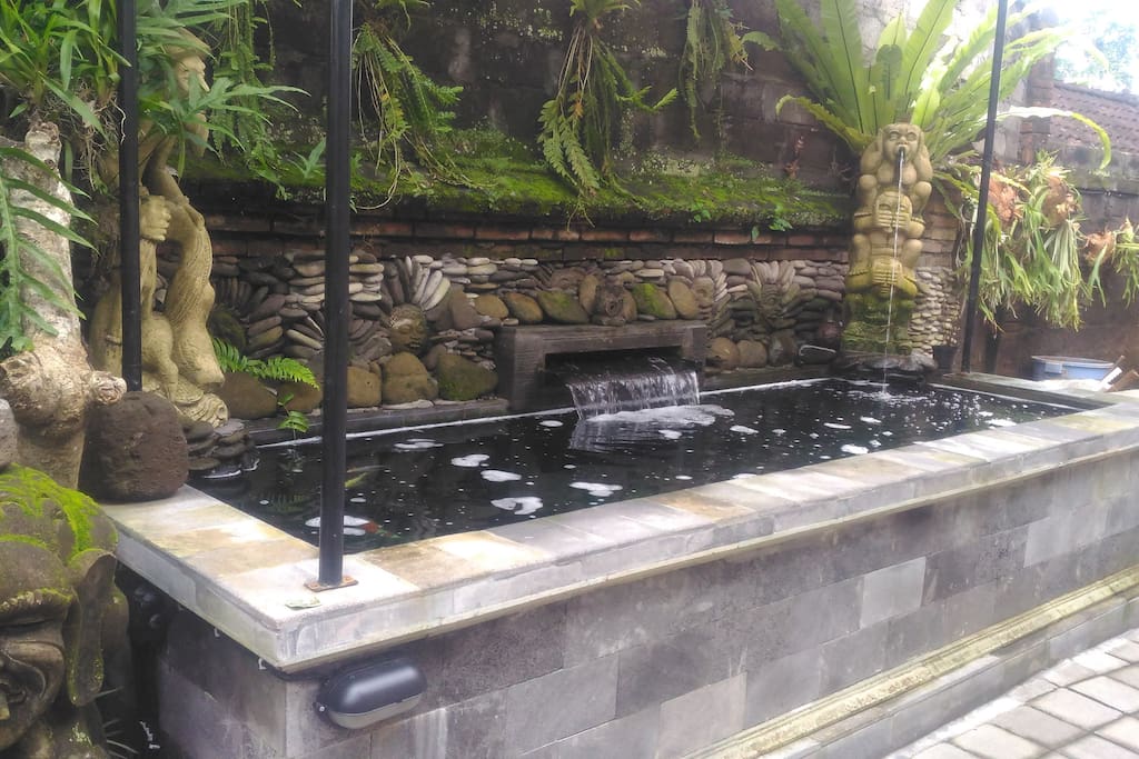 Beautifull fish pond