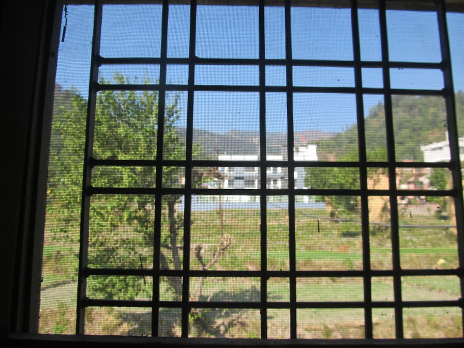 View from room window