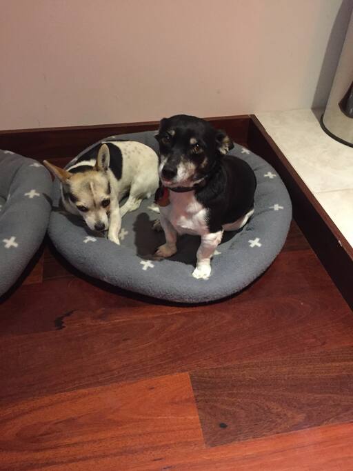 Lilly and digger