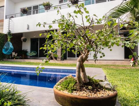 Naturaleza, Lujo y Relajación en Armonía