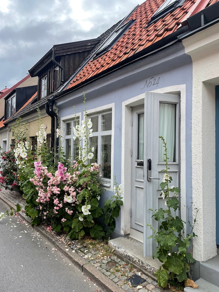 Gatuhus at Lilla Västergatan i Ystad Houses for Rent in Gamla Staden