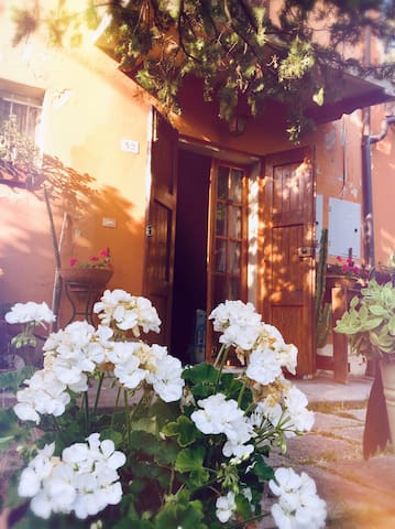 La CàrBonita

House by the river