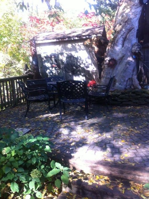 Back yard patio area