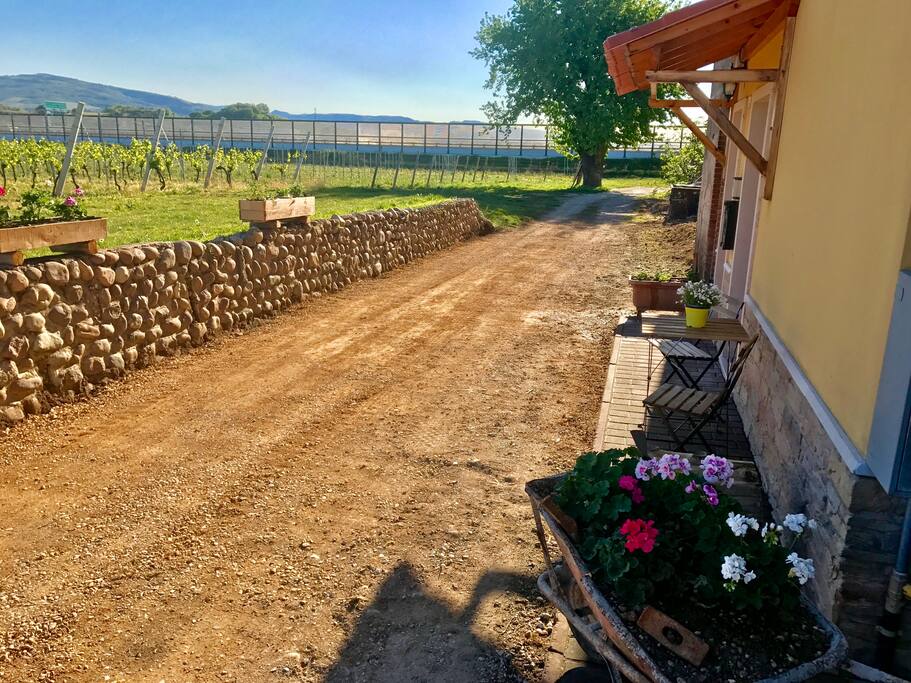 ENTRATA PRINCIPALE