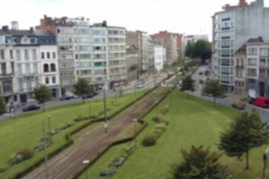 Uitzicht op de Belgielei
