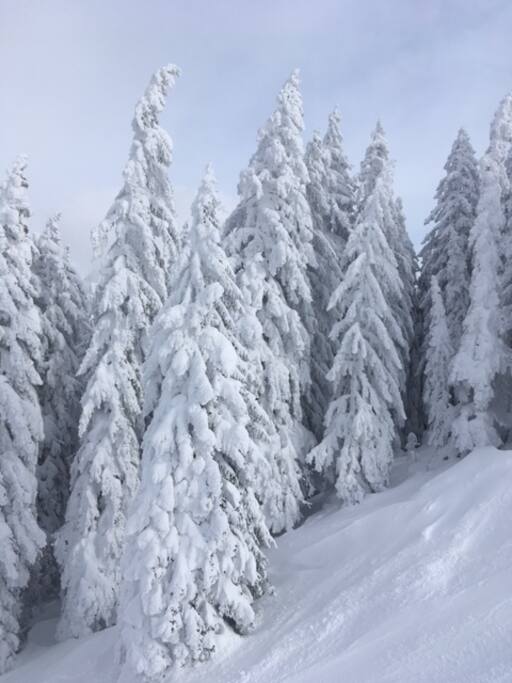 einfach herrlich auf Garfrescha im Montafon