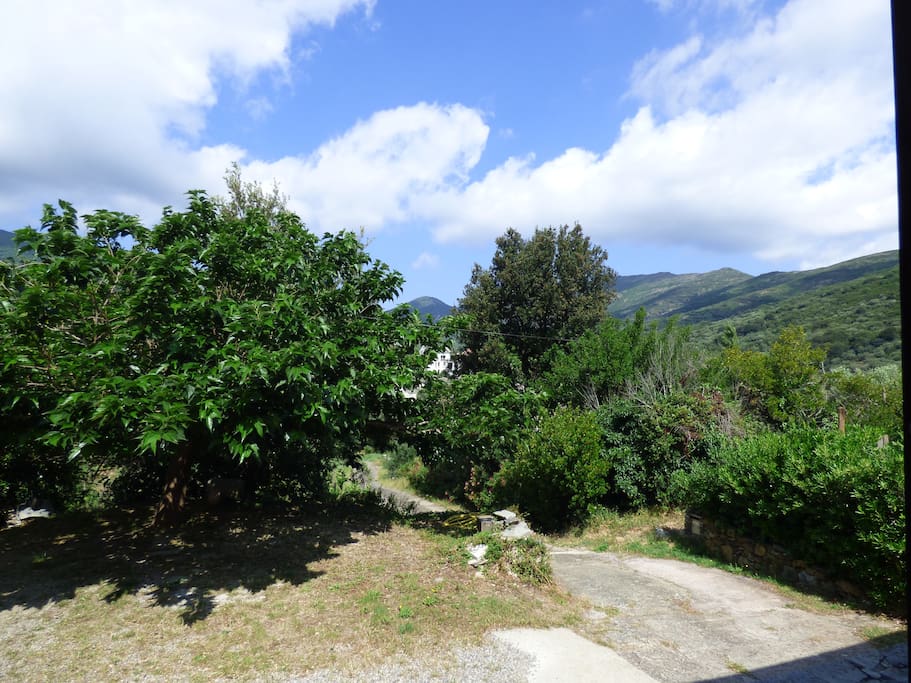 La vue sur les montagnes et le maquis depuis l'entrée de la maison