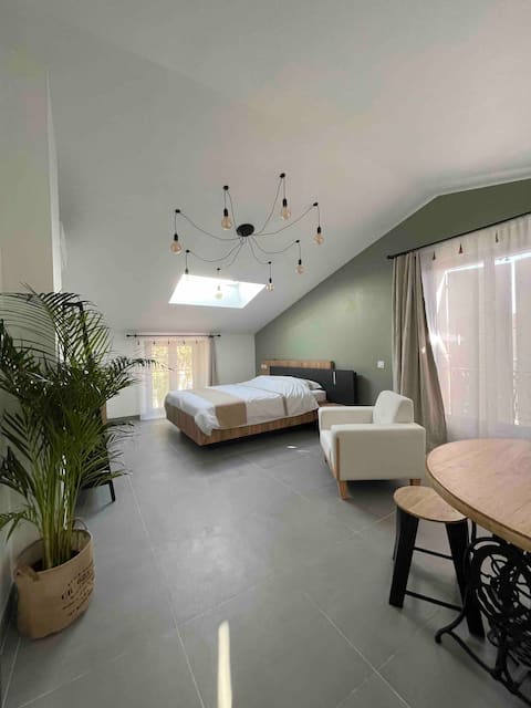 Successful Airbnb property: The Roman House in Vaison La Romaine