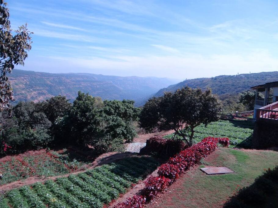 The fields of organic produce and the valley view beyond