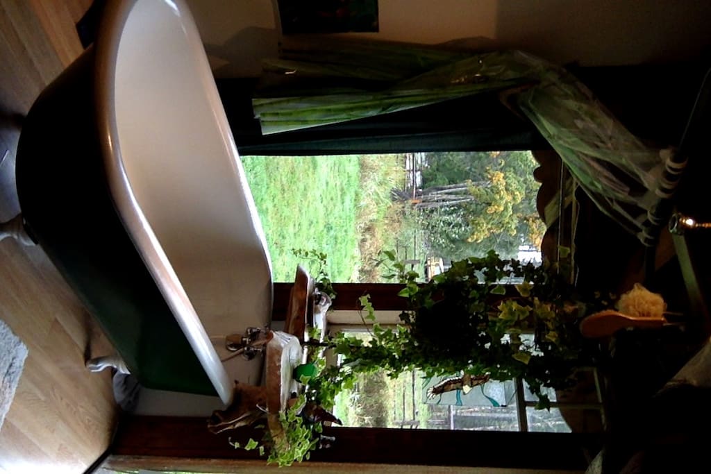 luxurious clawfoot soaker tub with view