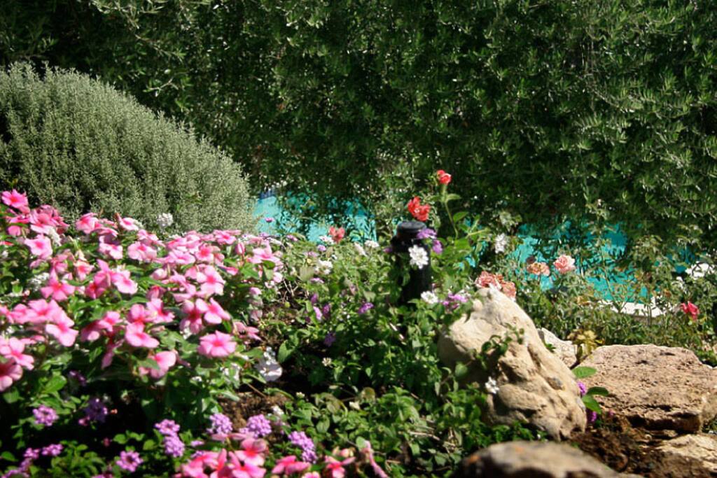 scorcio di giardino
